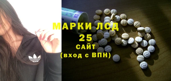индика Горняк