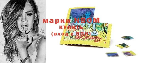 индика Горняк