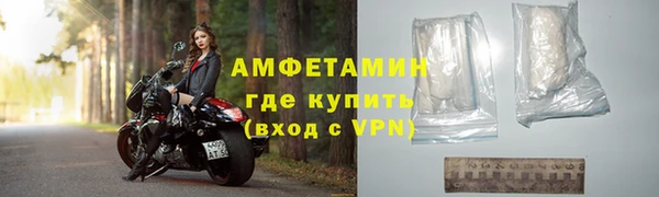 индика Горняк