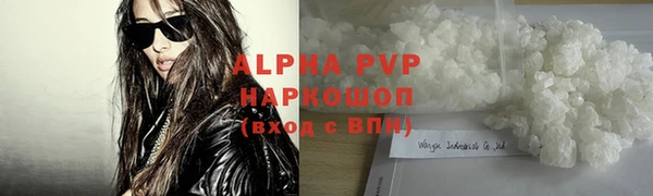 индика Горняк