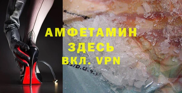 индика Горняк