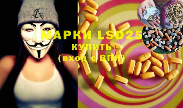 индика Горняк