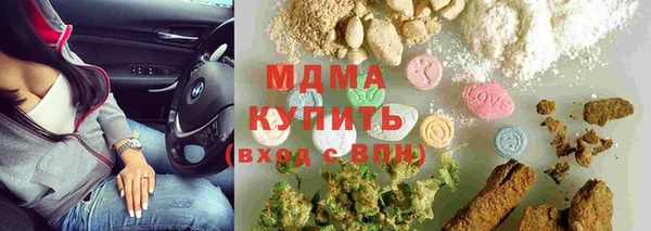 индика Горняк