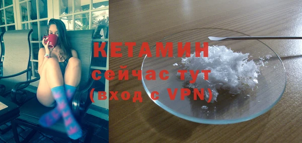 индика Горняк