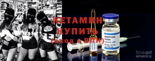 индика Горняк