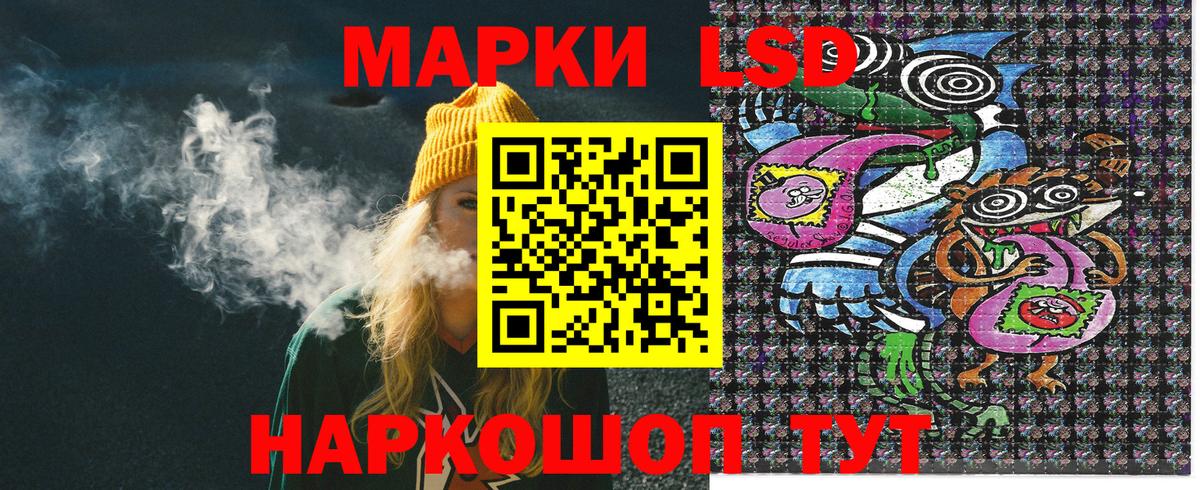 A PVP Донской