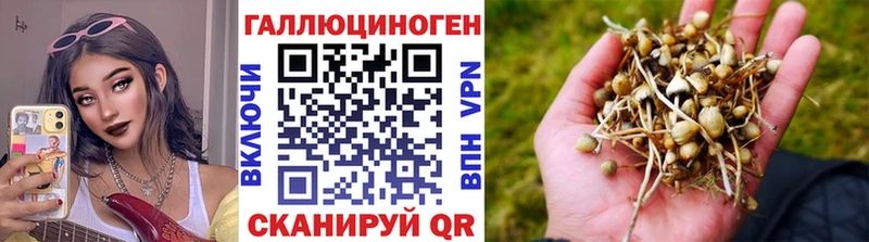 Псилоцибиновые грибы GOLDEN TEACHER  где продают   omg ТОР  Донской 