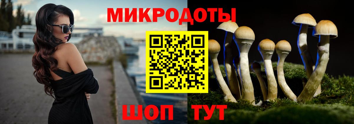 Донской  Галлюциногенные грибы прущие грибы  Галлюциногенные грибы мицелий  Вход с VPN 