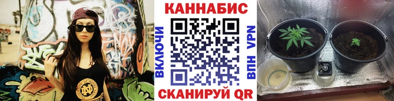МАРИХУАНА Ganja  Донской 