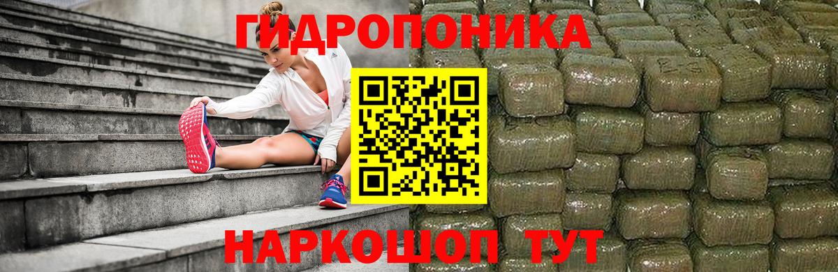 Канабис индика Донской